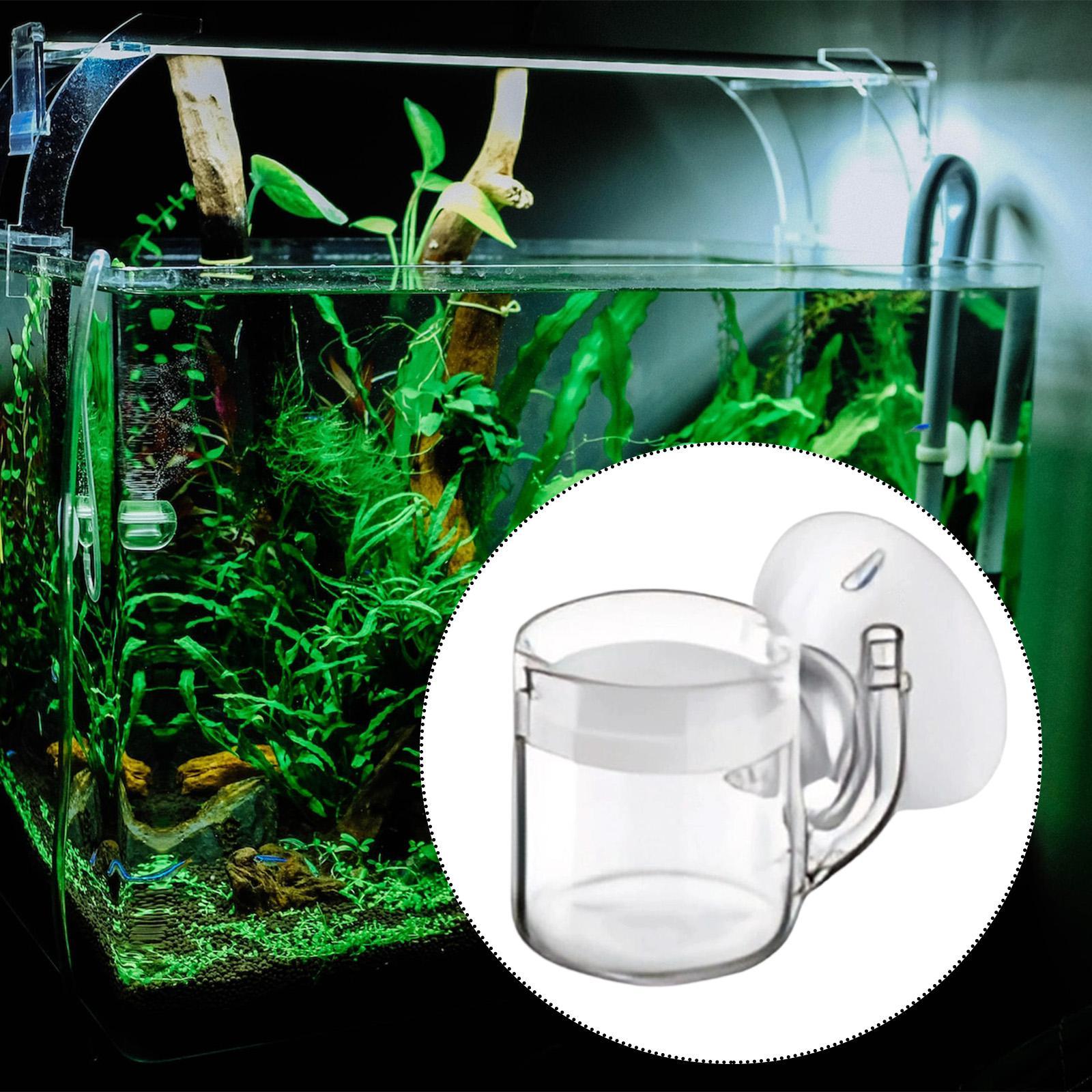 Terrarium Glass Bottle - Aquarium Diffuser Glass CO2 System Kit