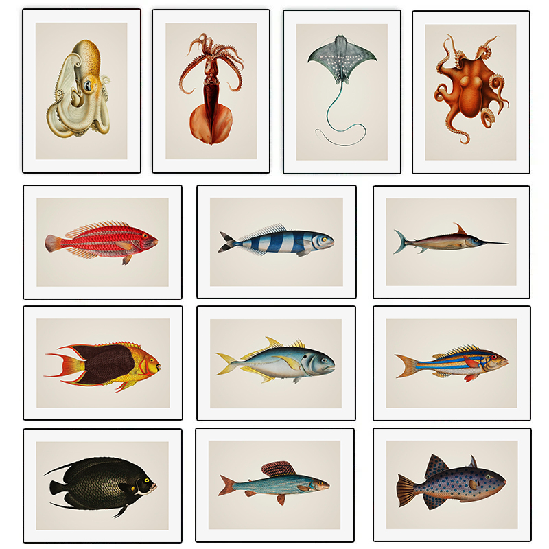 Home Decor Enthusiast - Marine Life Beautiful Tropical Fish Ornamental