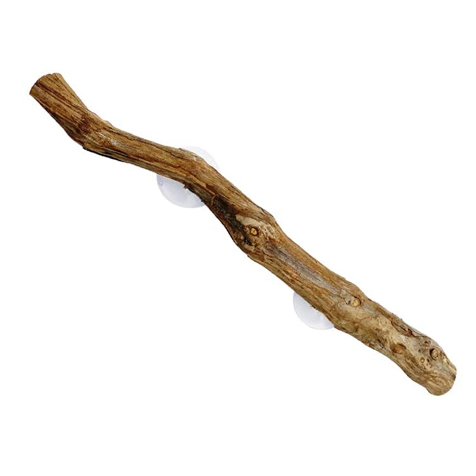 Home Decor Habitat - Reptile Branch Unique Bearded Dragon Branch