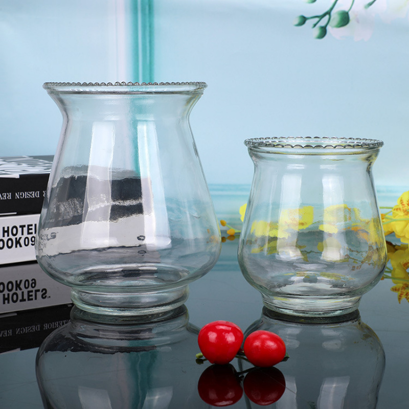 Terrarium Glass Bottle - Creative New Style Green Radish Hydroponic