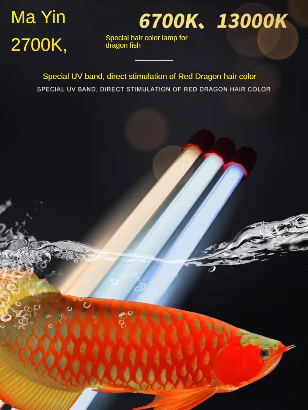 Terrarium Glass Bottle - Glass Arowana Fish Tank Light,Submersible LED