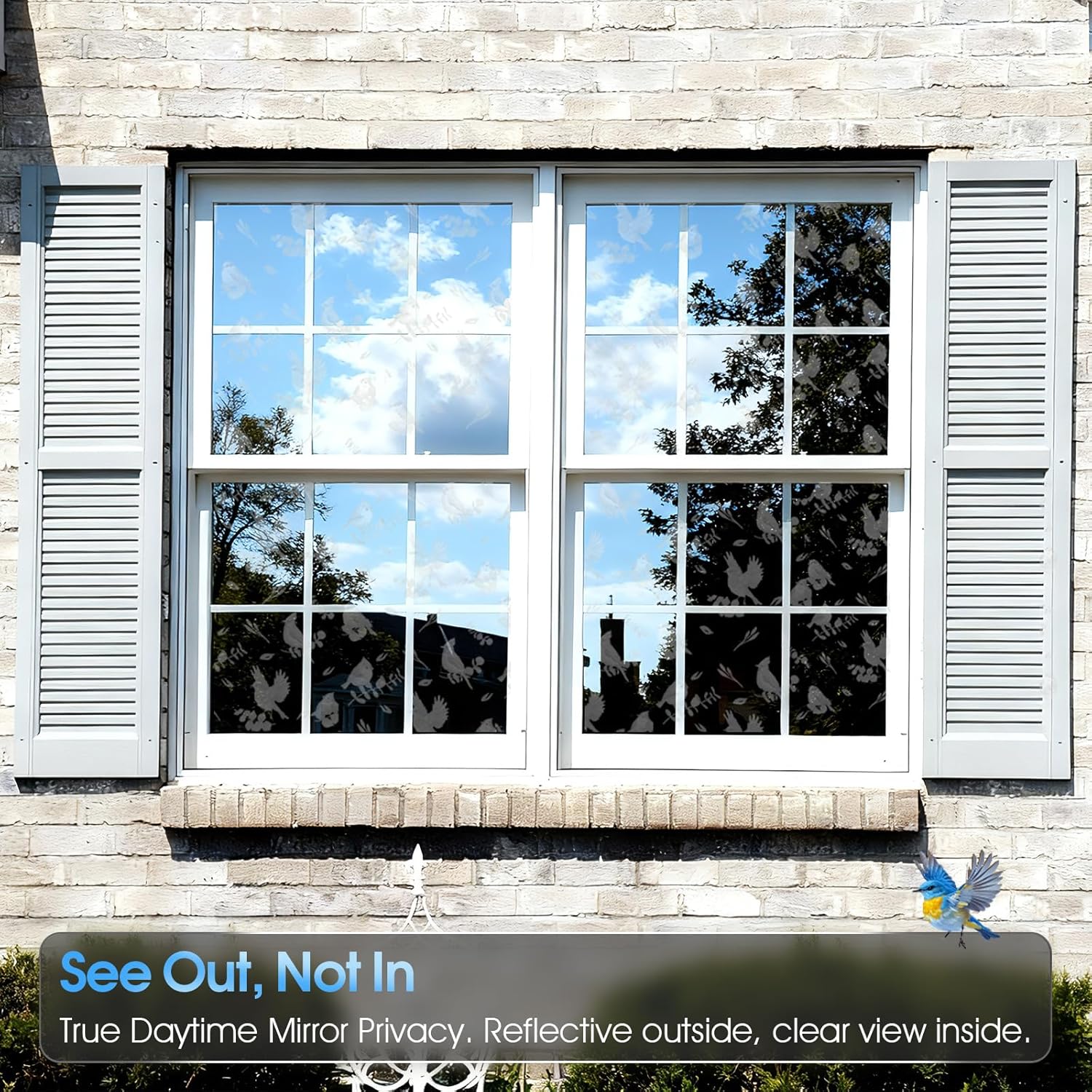 One Way Privacy Window Film fo - Home Decor Free Images avis et prix