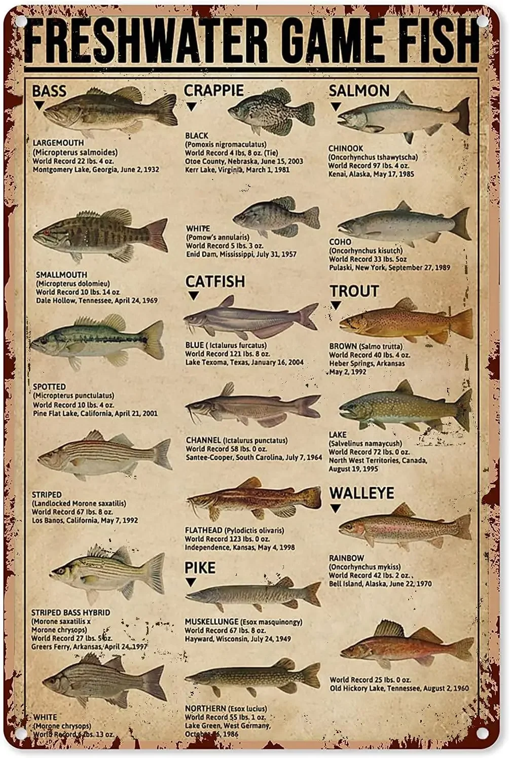 Fishing Art Posters Metal Sign - Home Decor Games Free avis et prix