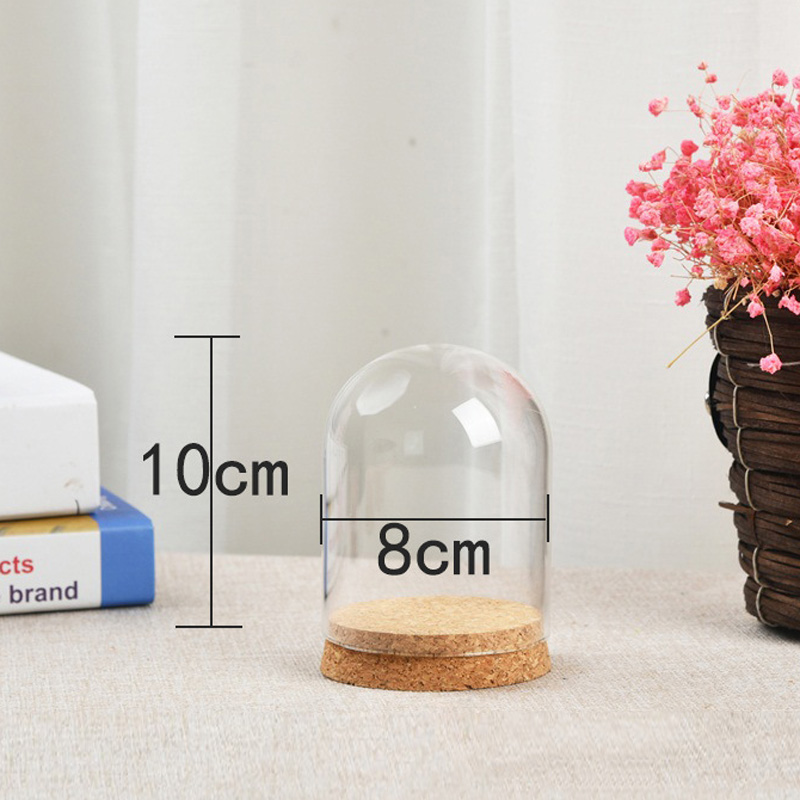 Glass Dome Cover For Flower Su - Terrarium Glass Bottle avis et prix