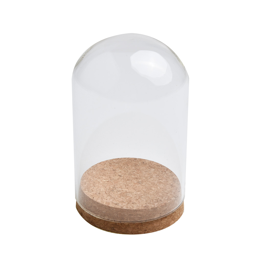 Glass Dome Cover For Flower Su - Terrarium Glass Bottle avis et prix