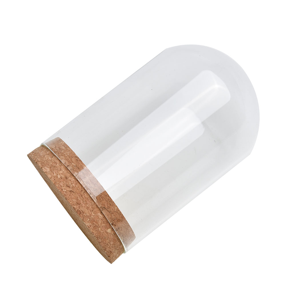 Glass Dome Cover For Flower Su - Terrarium Glass Bottle avis et prix