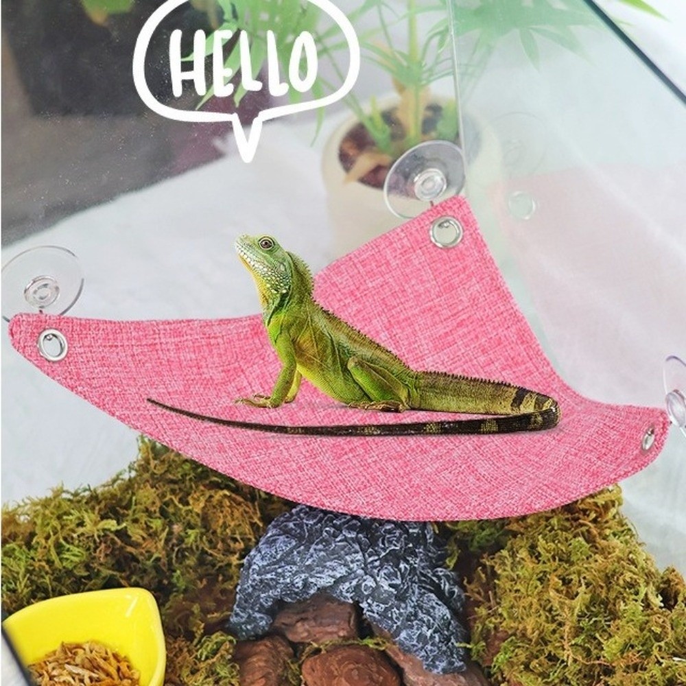 Suction Cup Lizard Triangle Ha - Home Decor Habitat avis et prix