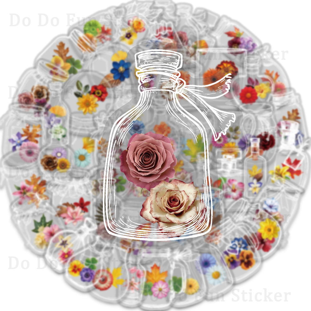 50PCS Glass Bottles with Dried - Terrarium Glass Bottle avis et prix
