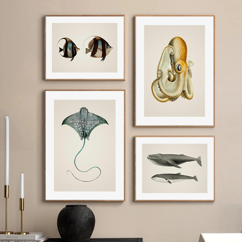 Marine Life Beautiful Tropical - Home Decor Enthusiast avis et prix