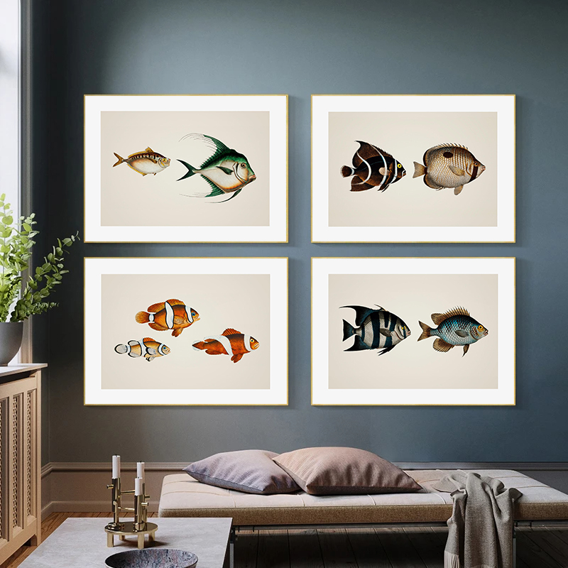 Marine Life Beautiful Tropical - Home Decor Enthusiast avis et prix