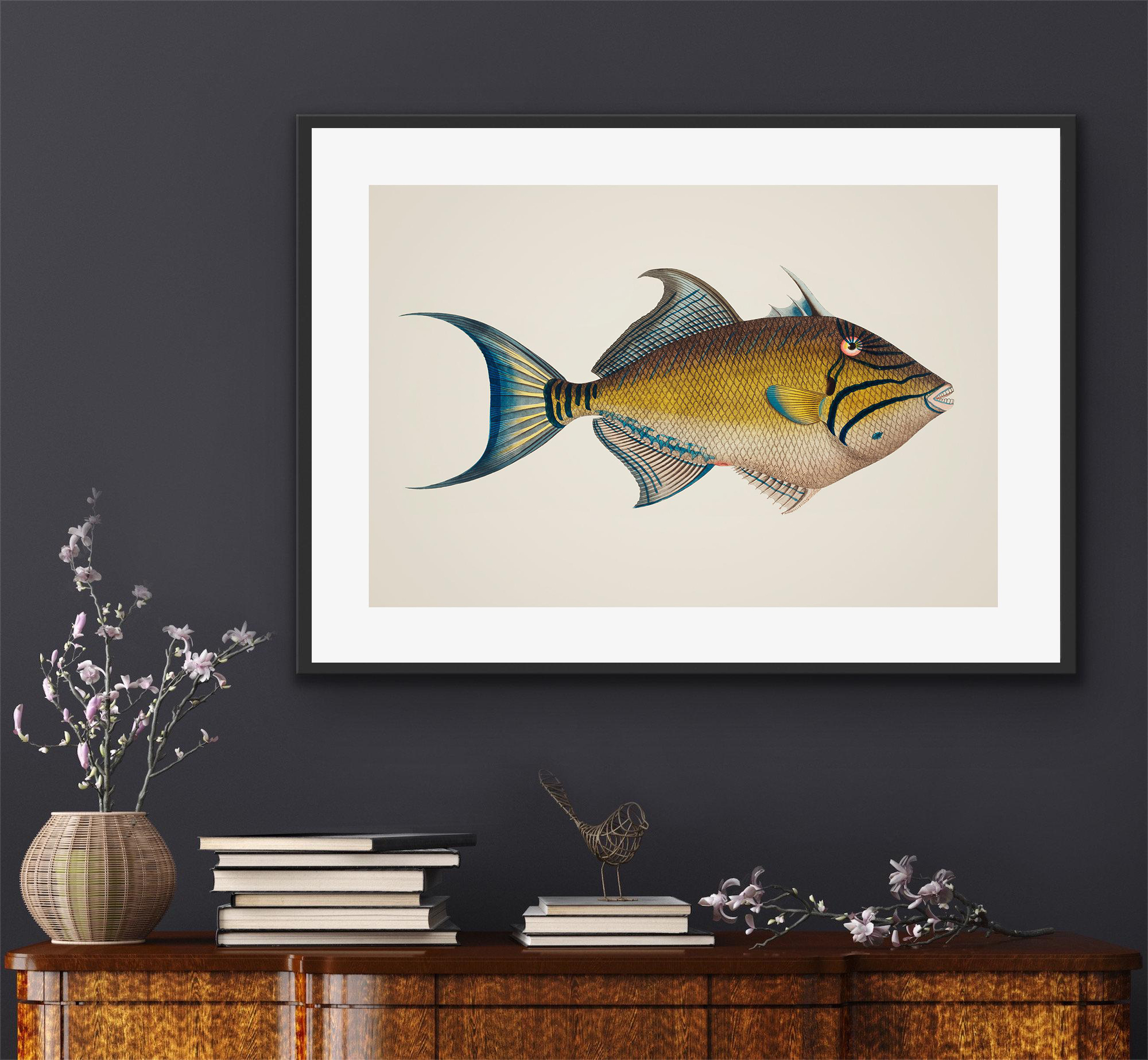 Marine Life Beautiful Tropical - Home Decor Enthusiast avis et prix
