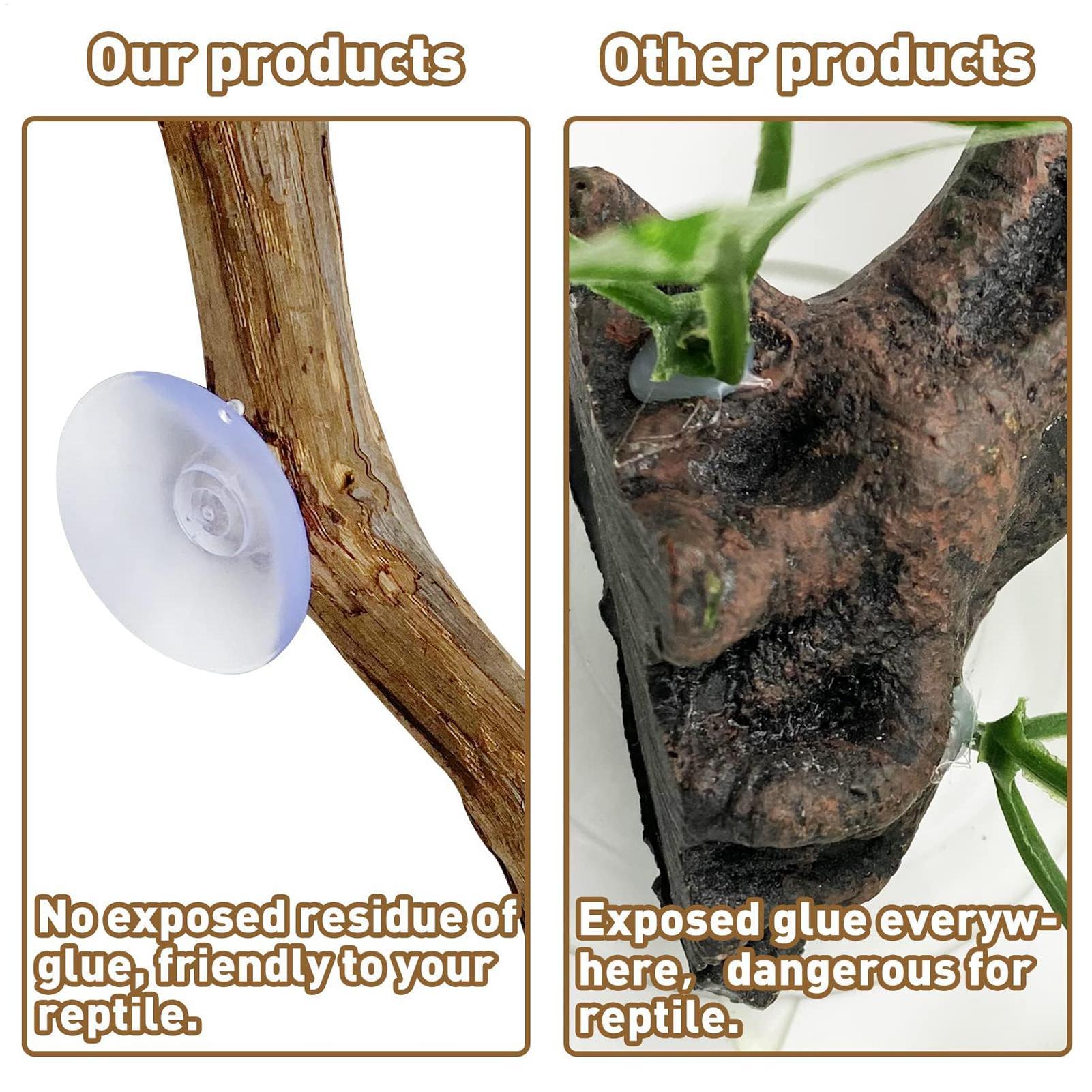 Reptile Branch Unique Bearded  - Home Decor Habitat avis et prix