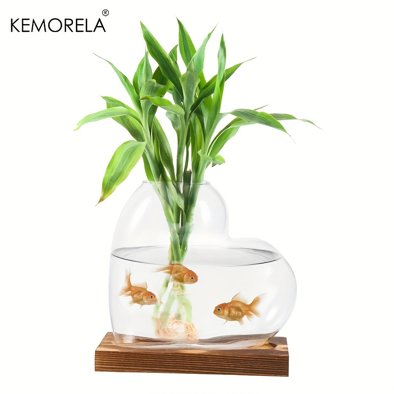 Love Hydroponic Vase 1/2PCS Gr - Terrarium Glass Bottle avis et prix
