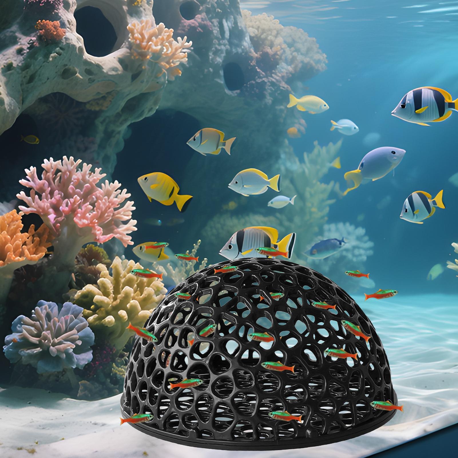 Shrimp Breeding Cave fish tank - Home Decor Habitat avis et prix