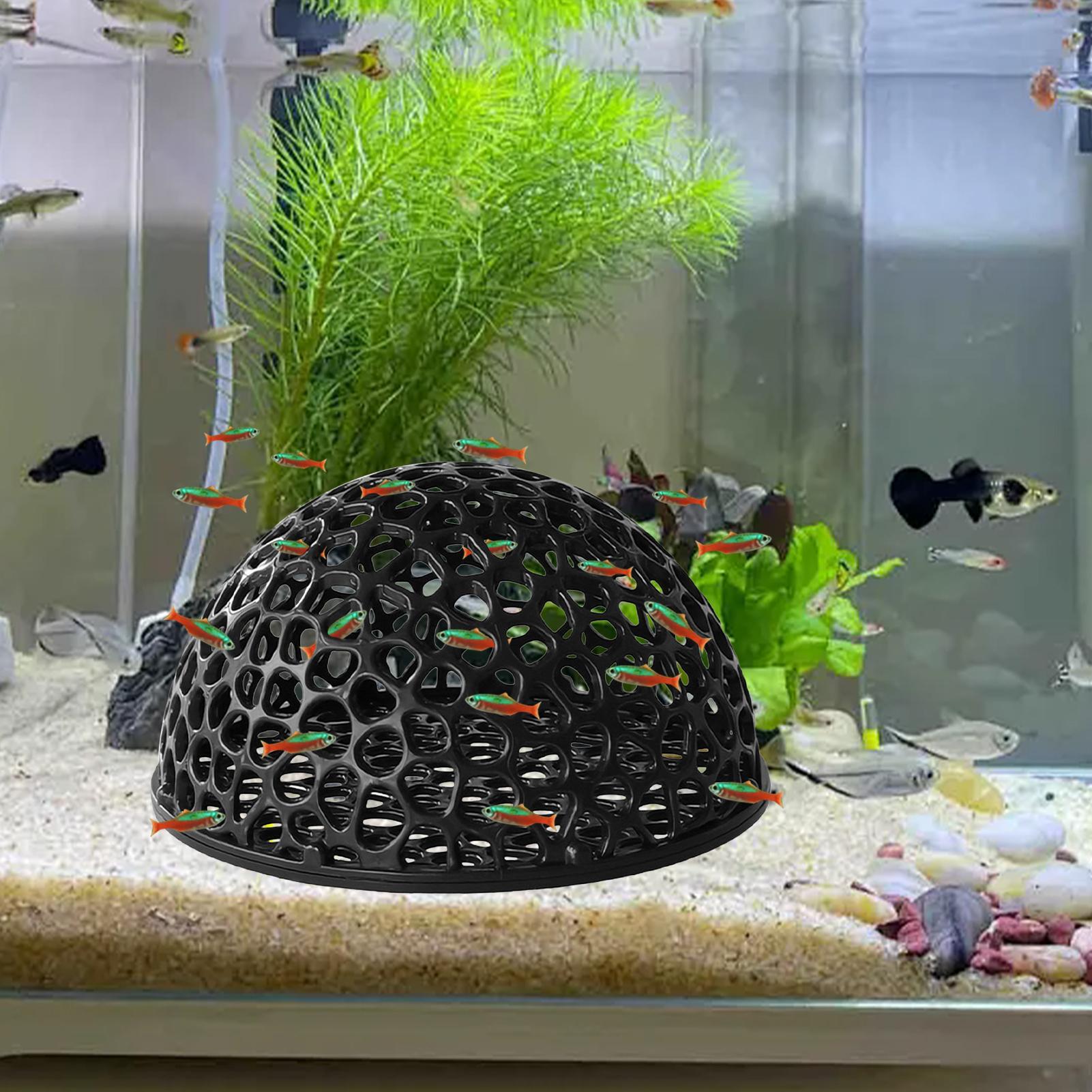 Shrimp Breeding Cave fish tank - Home Decor Habitat avis et prix