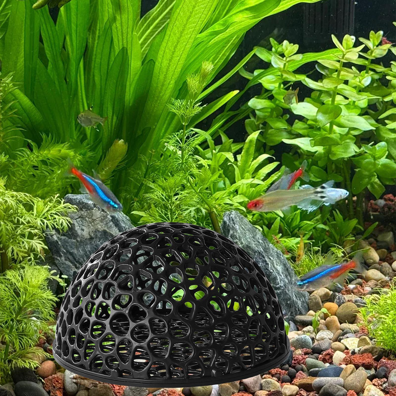 Shrimp Breeding Cave Shrimp Hi - Home Decor Habitat avis et prix