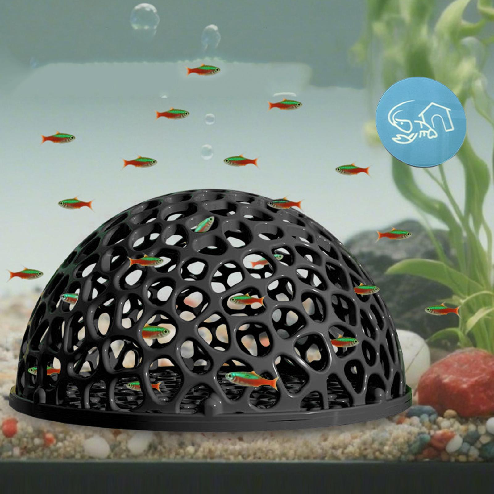 Shrimp Breeding Cave Shrimp Hi - Home Decor Habitat avis et prix