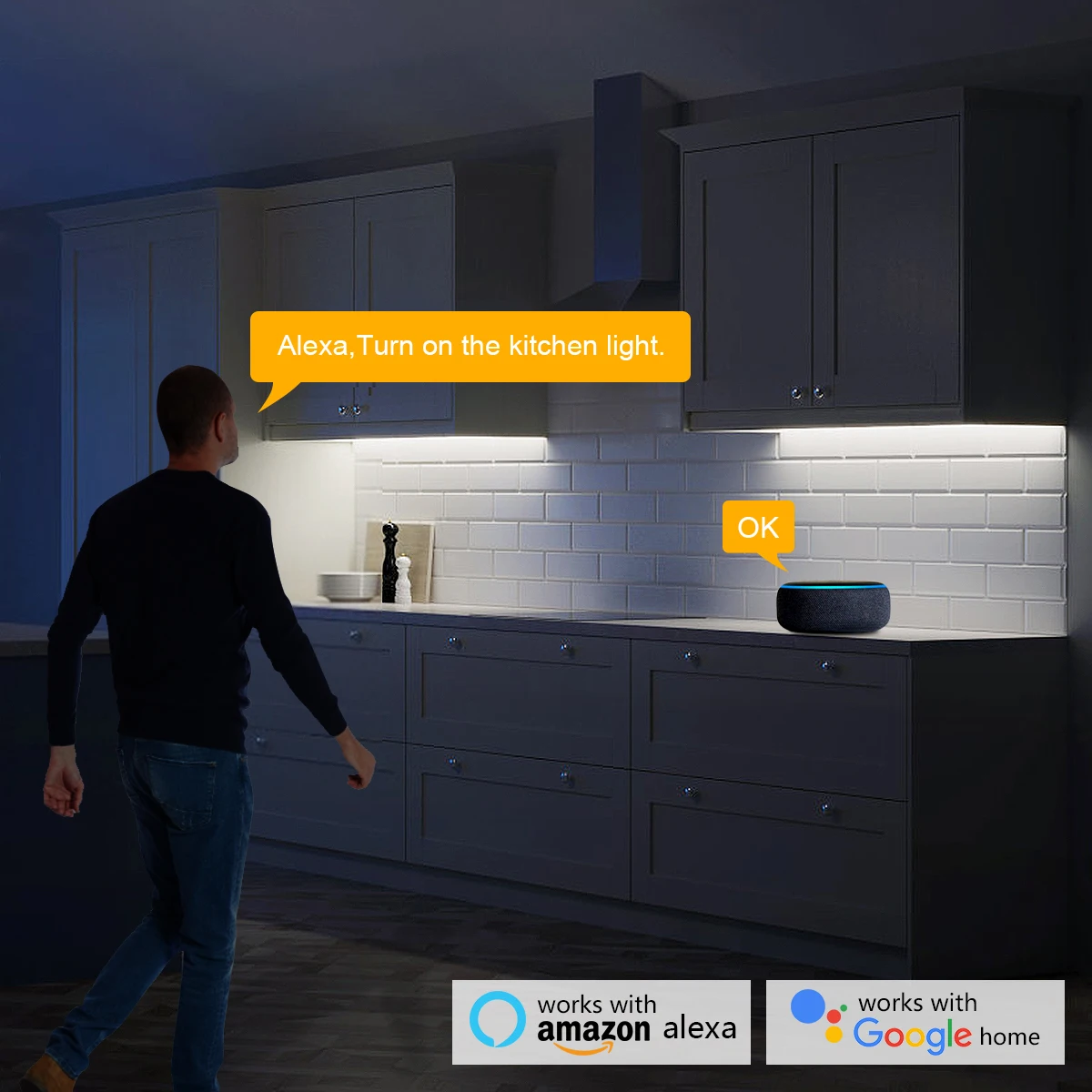 Smart Home Zigbee Tuya Voice C - Home Decor App Free avis et prix