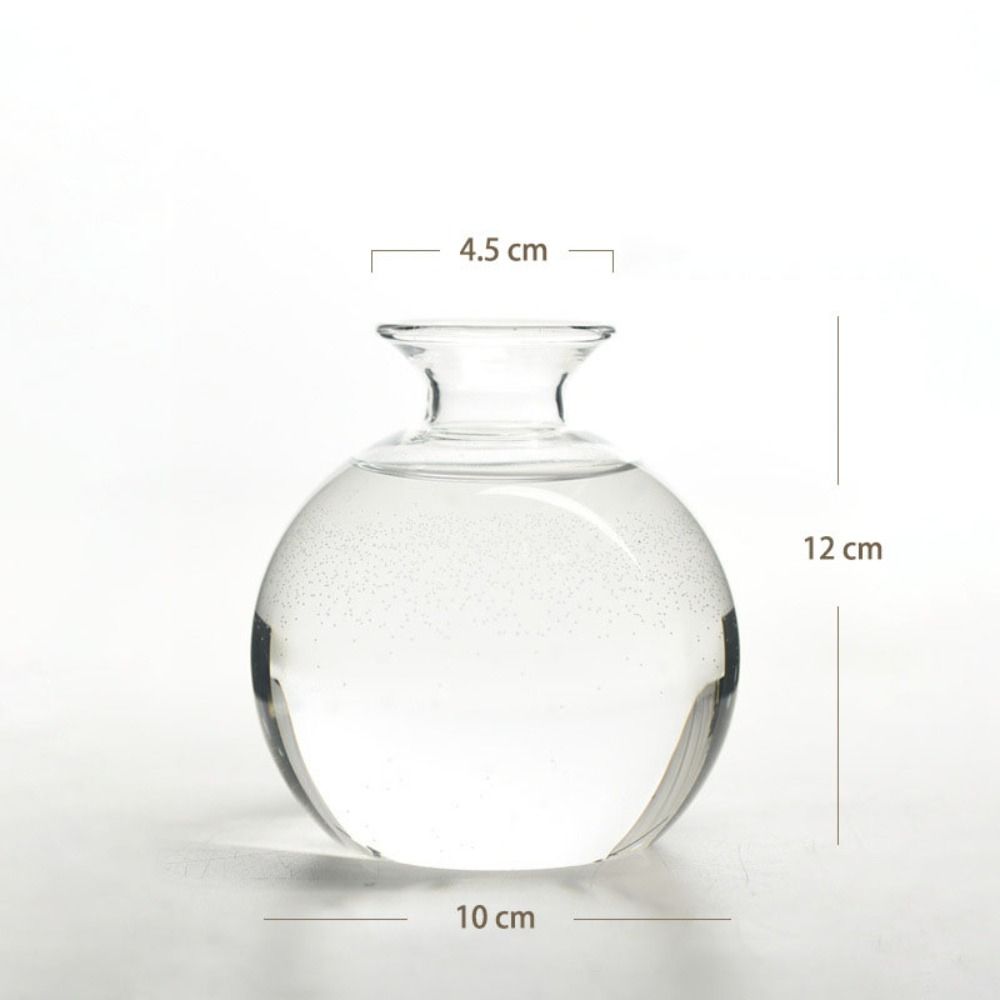 Avocado Hydroponic Vase Simple - Terrarium Glass Bottle avis et prix