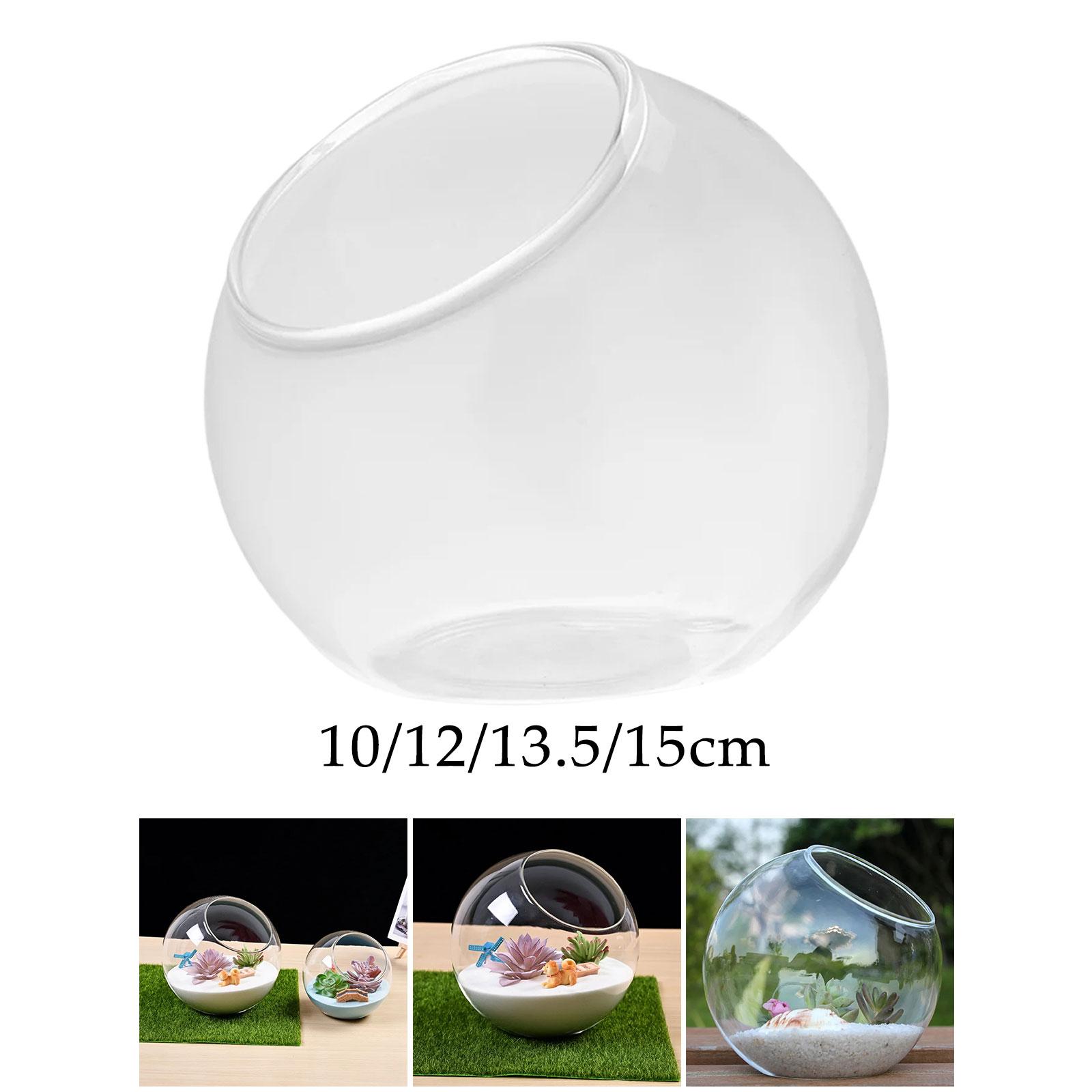 Terrarium Glass Vase Unique Ce - Terrarium Glass Bottle avis et prix