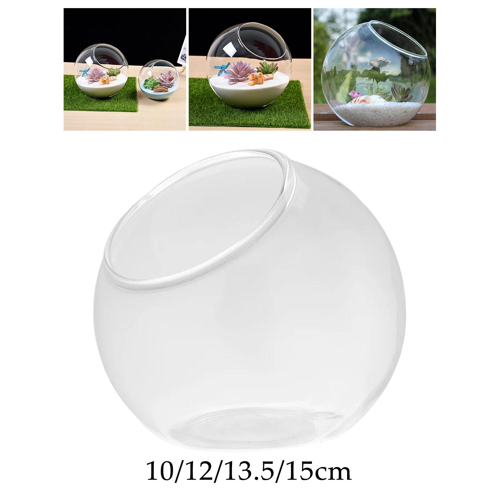 Terrarium Glass Vase Unique Ce - Terrarium Glass Bottle avis et prix