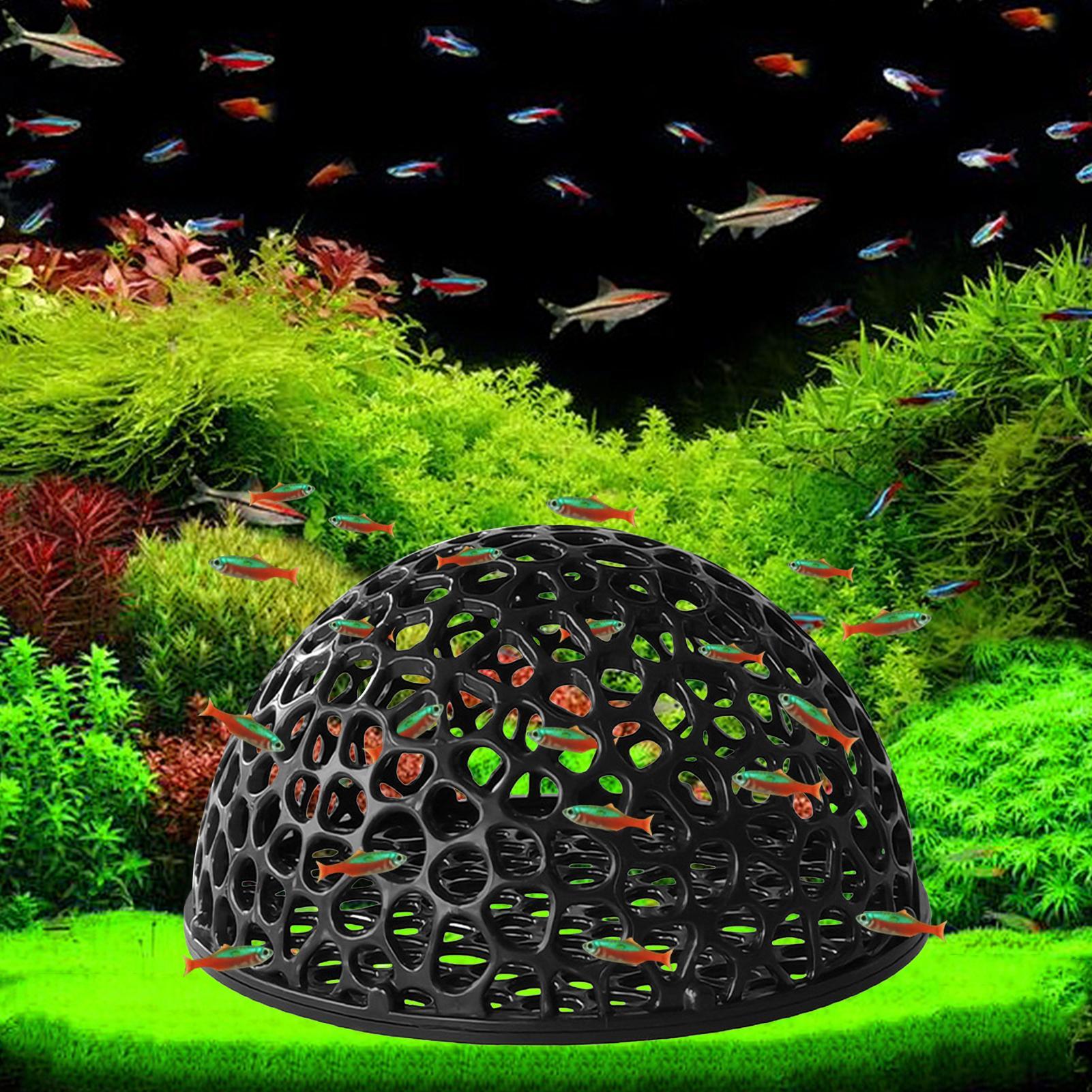 Shrimp Hide Breeding Hide Shri - Home Decor Habitat avis et prix