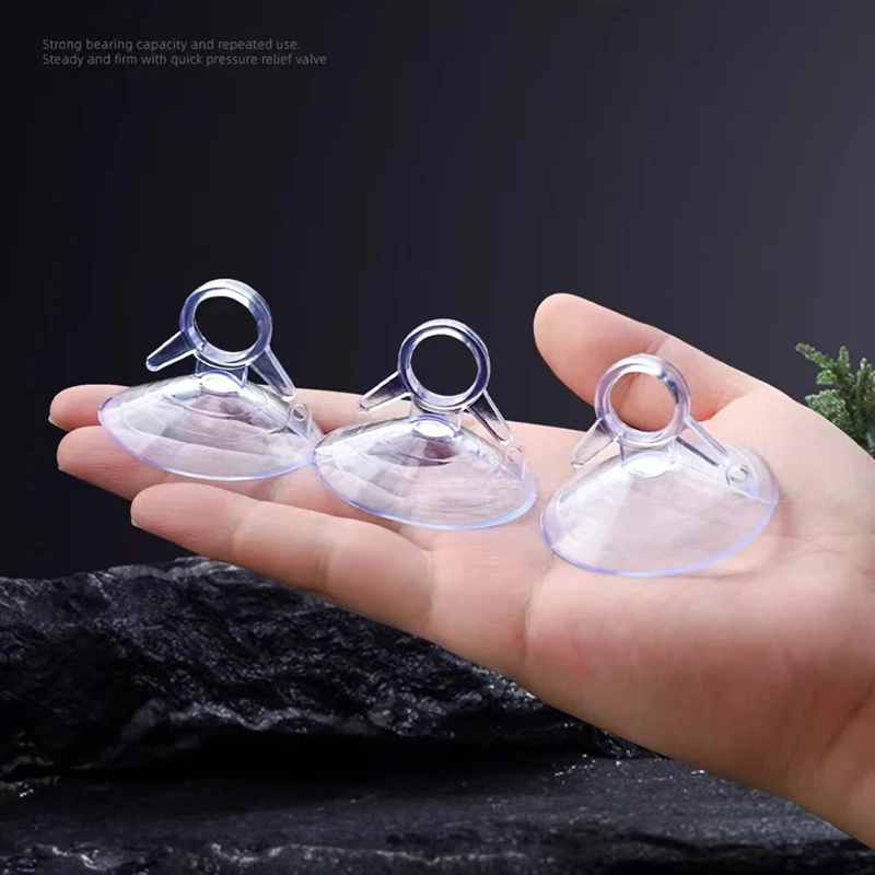 6/10/20/Pcs Suction Cup Car Su - Terrarium Glass Bottle avis et prix