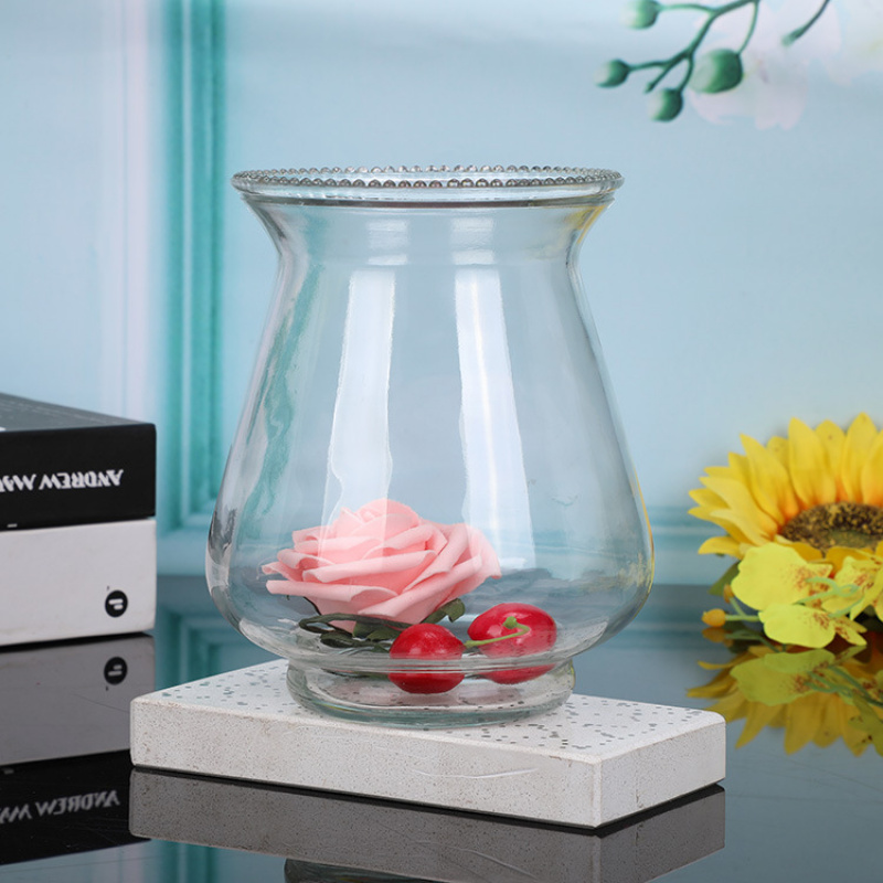 Creative New Style Green Radis - Terrarium Glass Bottle avis et prix