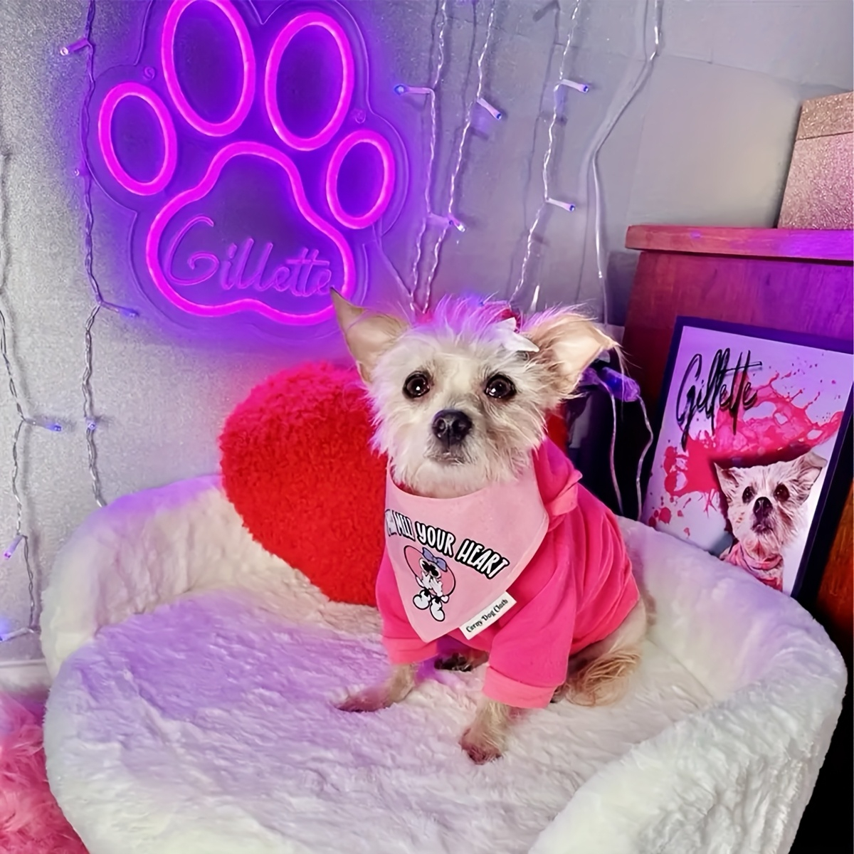 Custom Paw Print Neon Sign wit - Home Decor Store avis et prix
