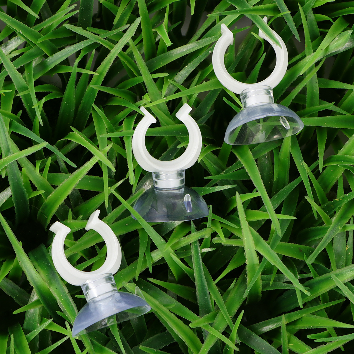 10Pcs Fish Tank Strong Transpa - Terrarium Glass Bottle avis et prix