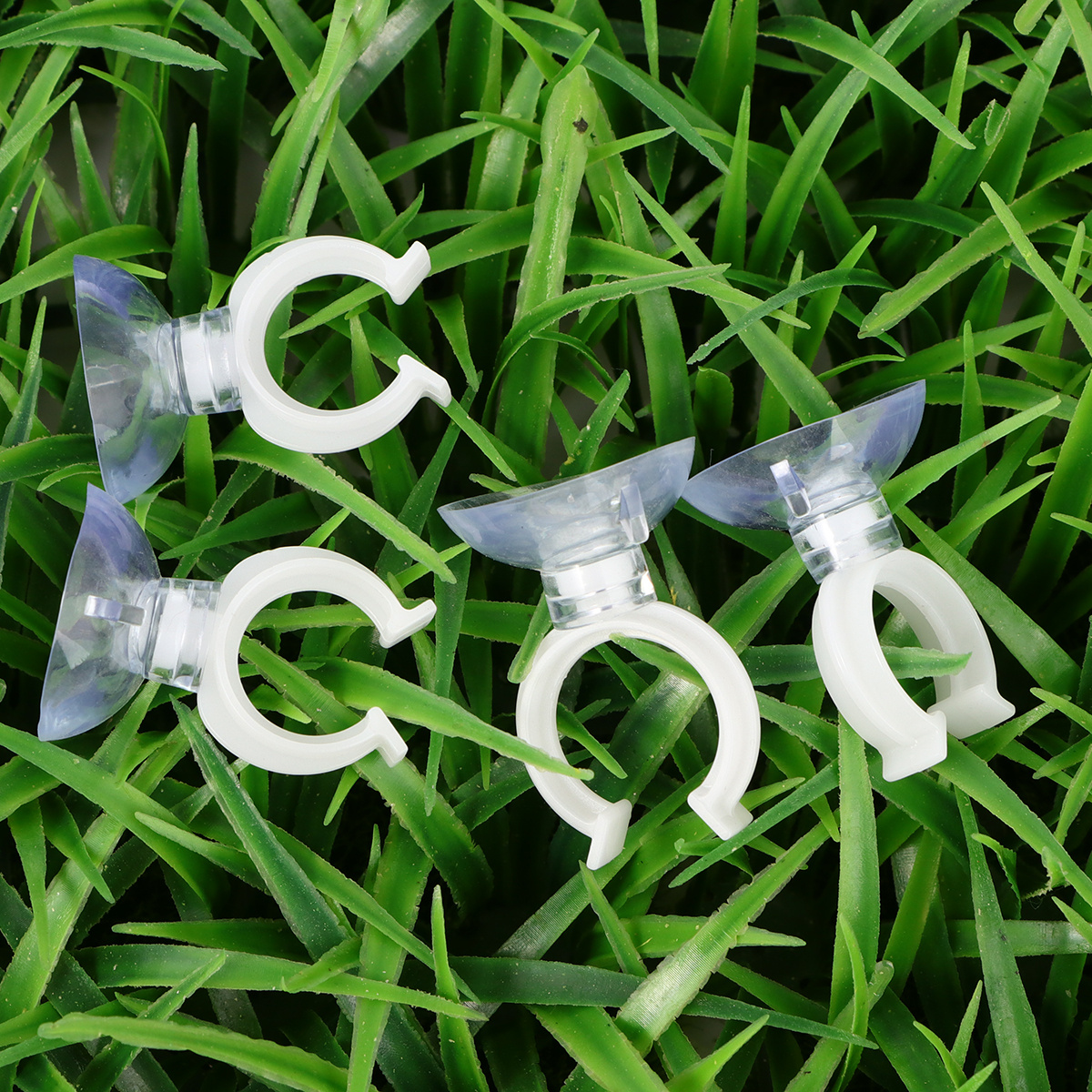 10Pcs Fish Tank Strong Transpa - Terrarium Glass Bottle avis et prix