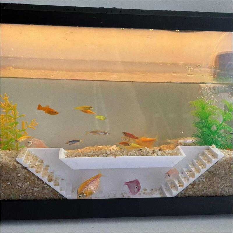 Shrimp Tunnel Shrimp Cave Deco - Home Decor Habitat avis et prix