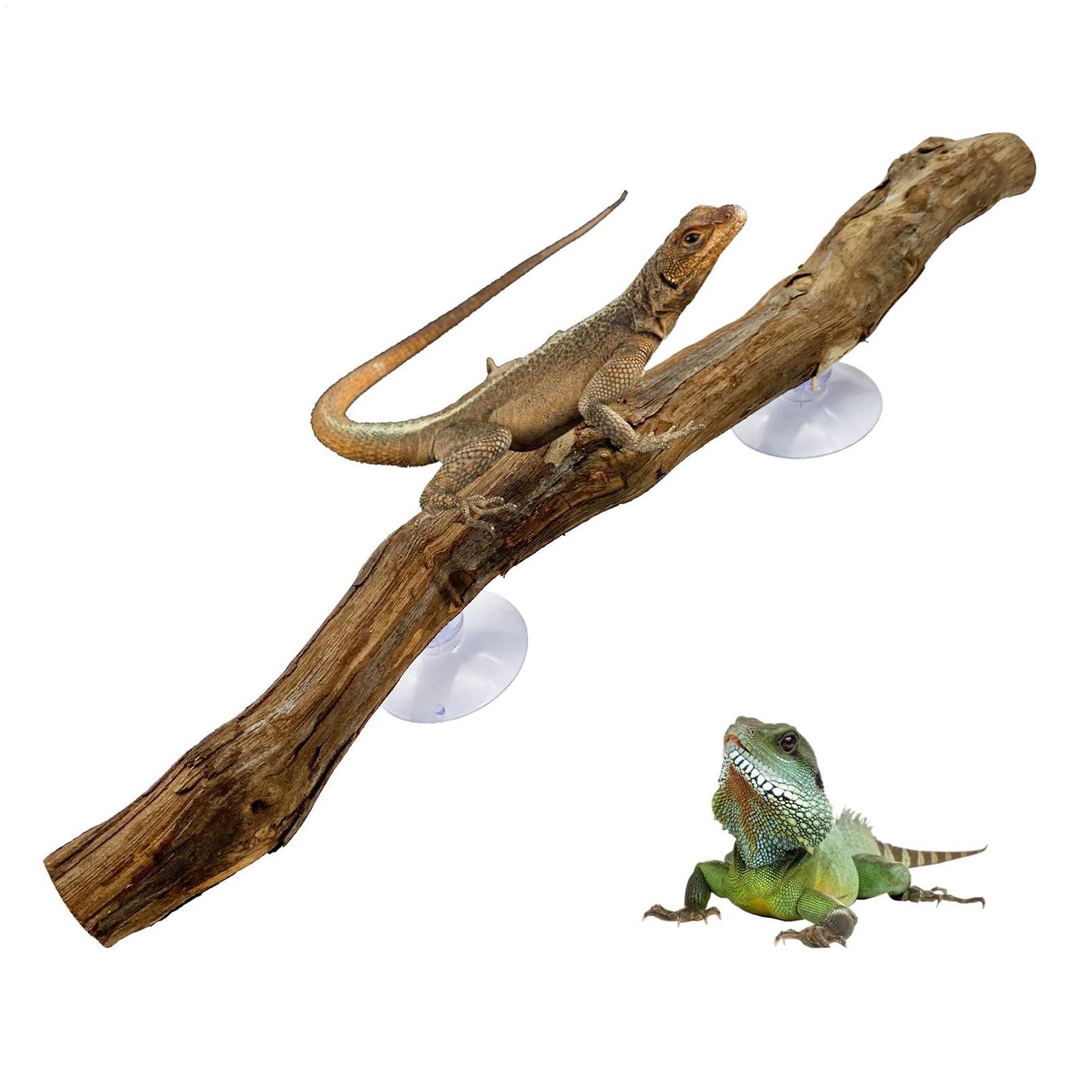 Reptile Climbing Corner Stick  - Home Decor Habitat avis et prix