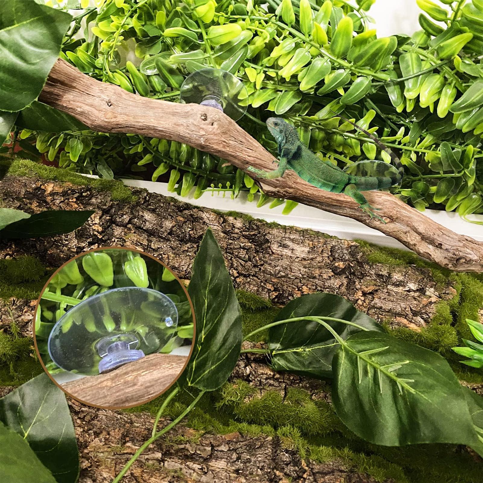 Reptile Climbing Corner Stick  - Home Decor Habitat avis et prix