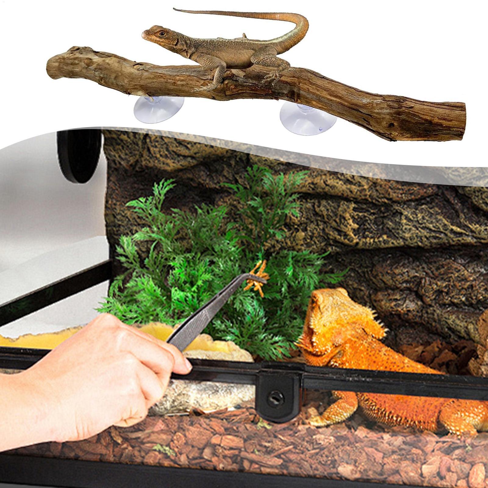 Reptile Climbing Corner Stick  - Home Decor Habitat avis et prix