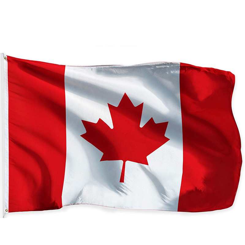 2026 World Group B Canada Bosn - Home Decor Qatar avis et prix