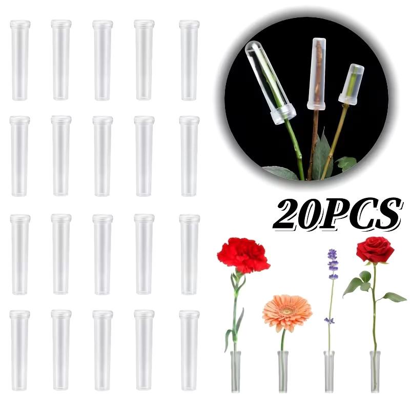 New 20PCS Plastic Flower Water - Terrarium Glass Bottle avis et prix