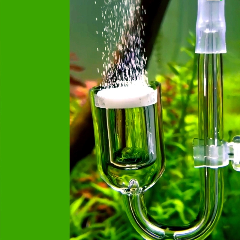 Nano CO2 Diffuser Glass Atomiz - Terrarium Glass Bottle avis et prix