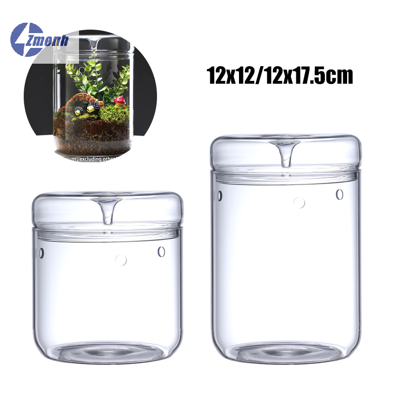 New！Micro Landscape Glass Bott - Terrarium Glass Bottle avis et prix