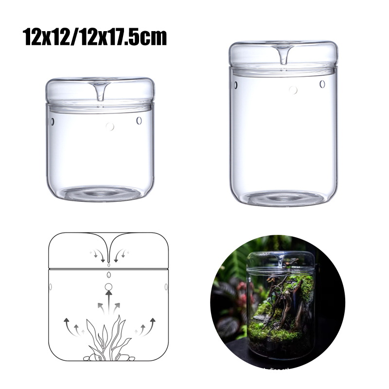 New！Micro Landscape Glass Bott - Terrarium Glass Bottle avis et prix