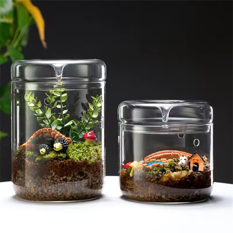 New！Micro Landscape Glass Bott - Terrarium Glass Bottle avis et prix