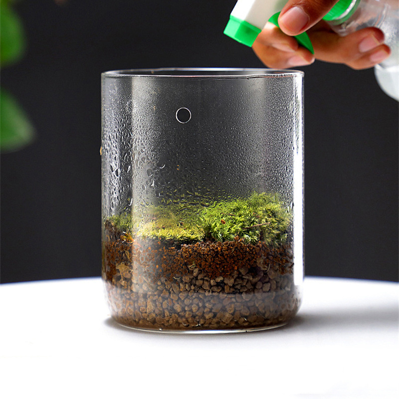 New！Micro Landscape Glass Bott - Terrarium Glass Bottle avis et prix
