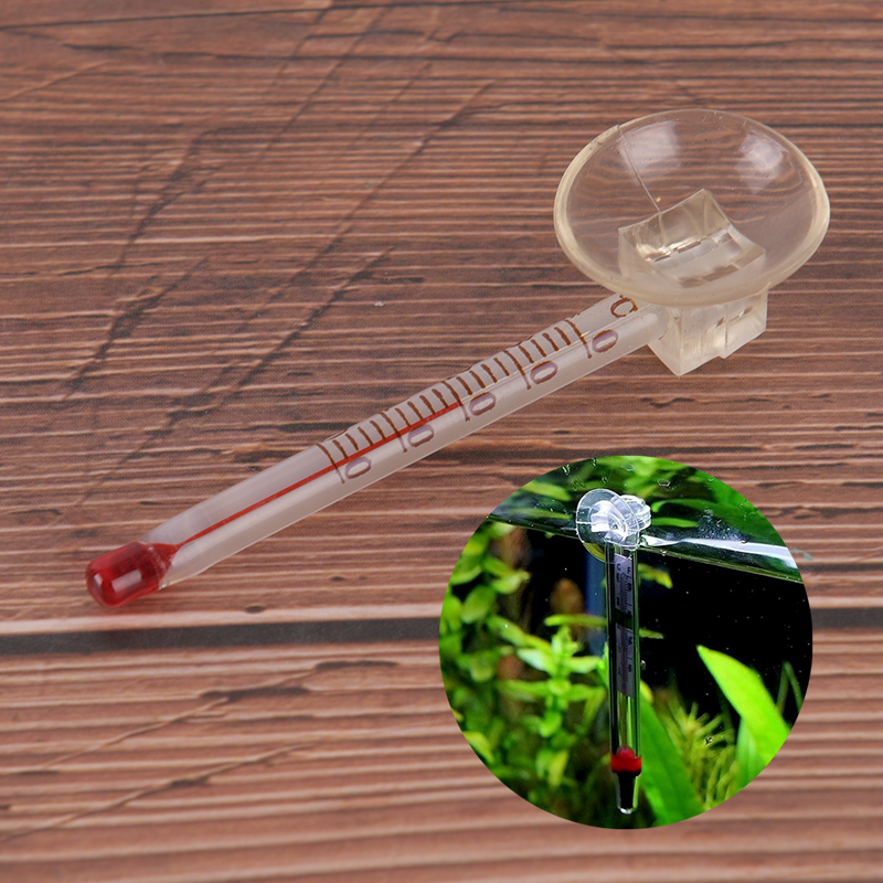 Glass meter aquarium fish tank - Terrarium Glass Bottle avis et prix