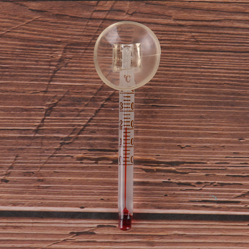 Glass meter aquarium fish tank - Terrarium Glass Bottle avis et prix