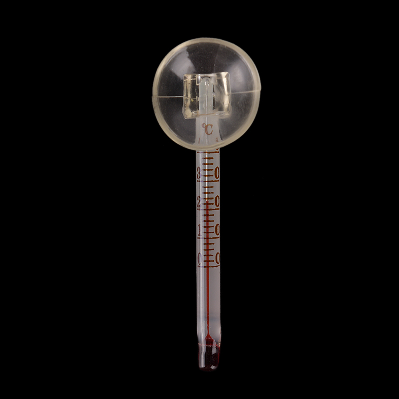 Glass meter aquarium fish tank - Terrarium Glass Bottle avis et prix