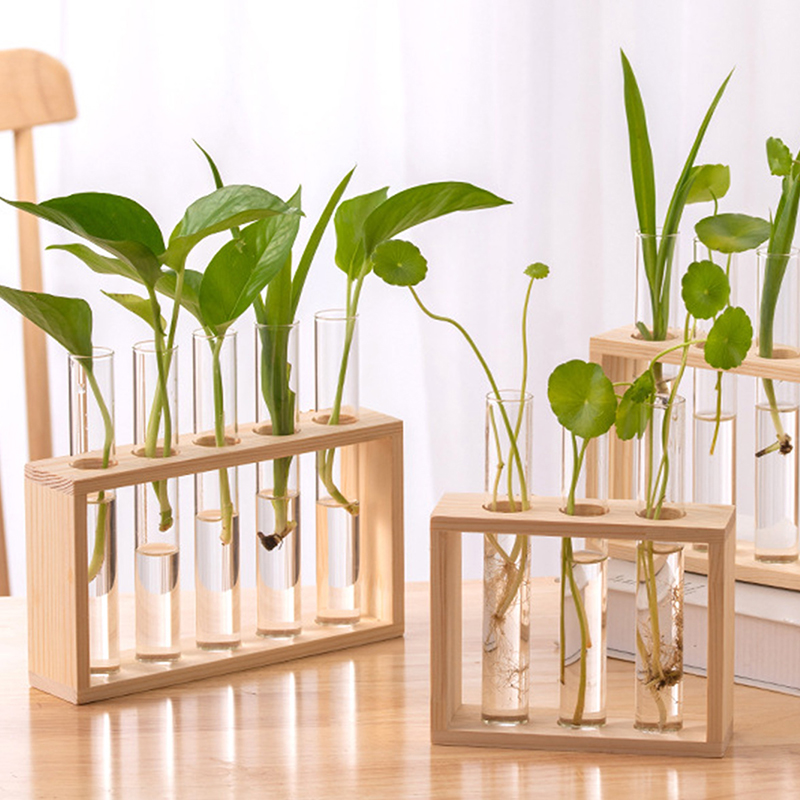 Hydroponic Plants Container wi - Terrarium Glass Bottle avis et prix