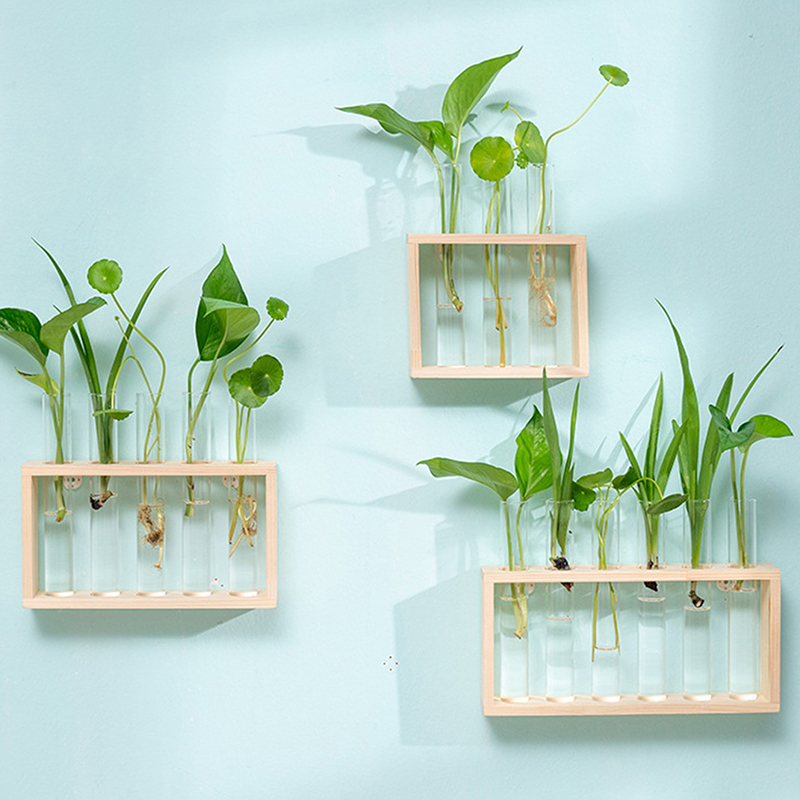 Hydroponic Plants Container wi - Terrarium Glass Bottle avis et prix