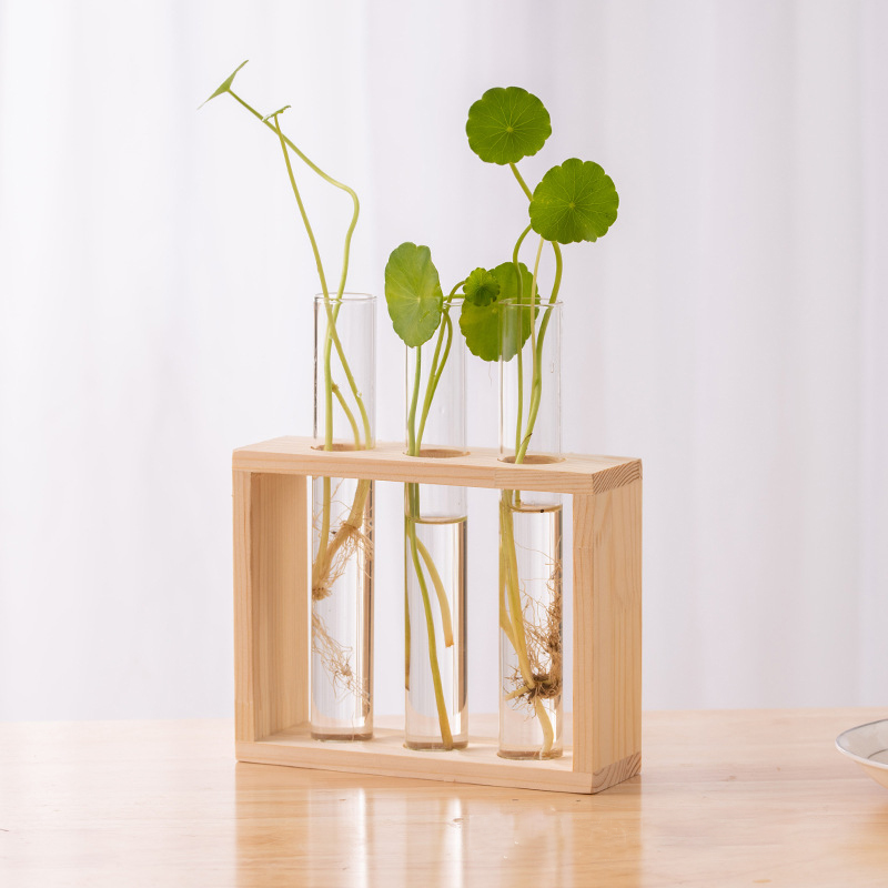 Hydroponic Plants Container wi - Terrarium Glass Bottle avis et prix