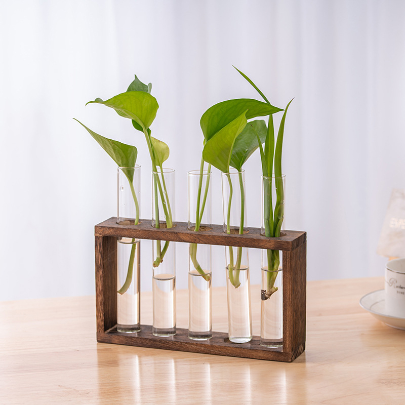 Hydroponic Plants Container wi - Terrarium Glass Bottle avis et prix