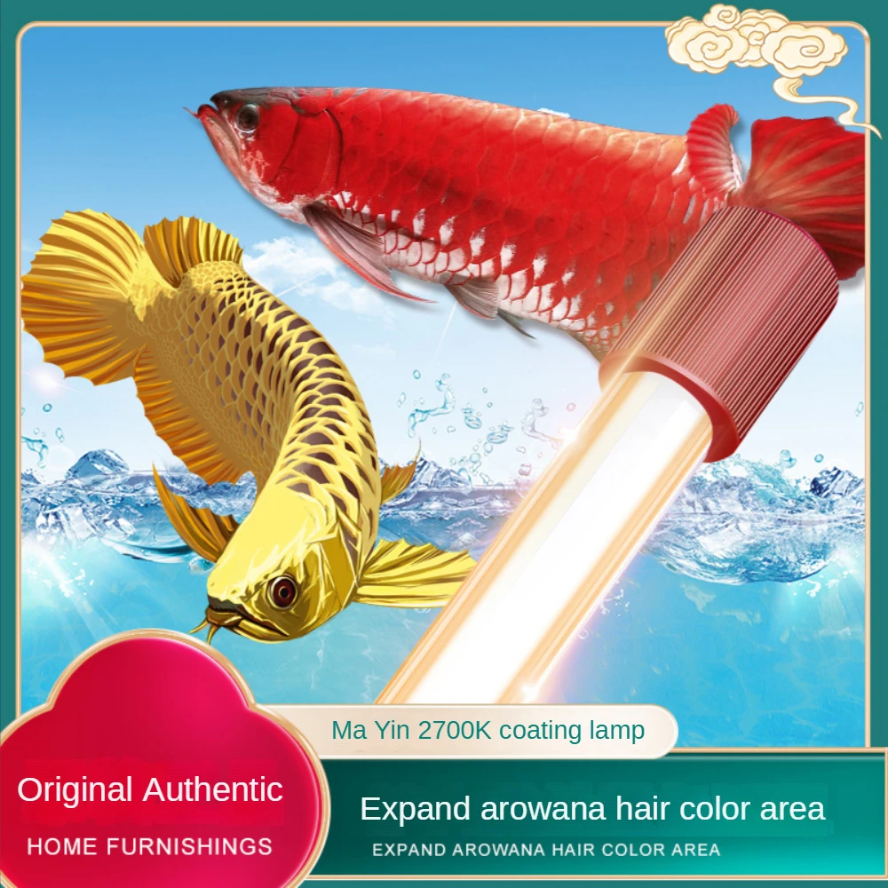 Glass Arowana Fish Tank Light, - Terrarium Glass Bottle avis et prix